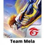 team-mela-injector-apk